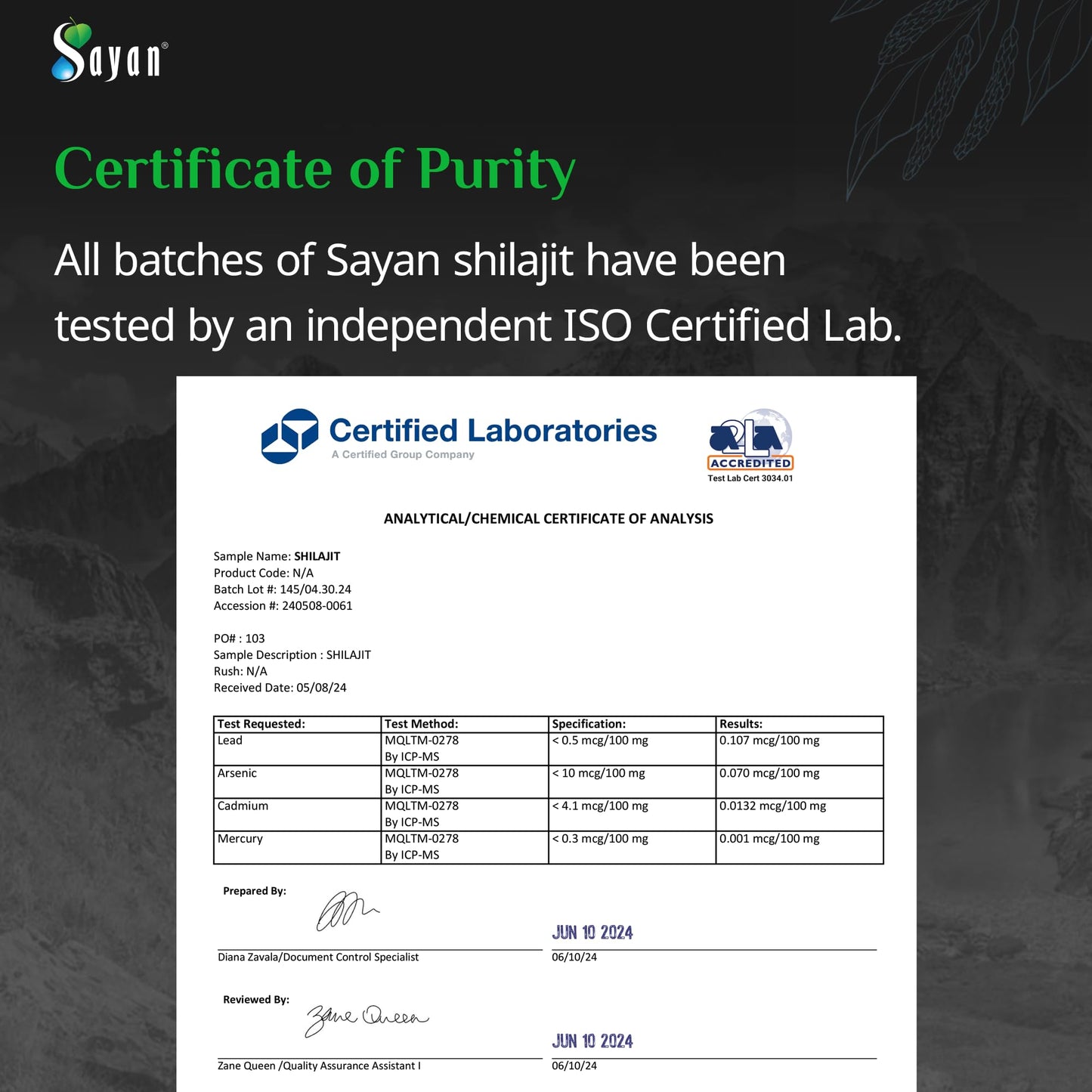 Sayan Pure Altai Shilajit Resin 30g | 4-Month Supply | Organic Fulvic Acid