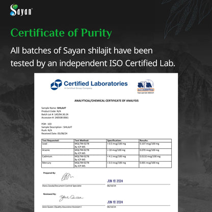 Sayan Pure Altai Shilajit Resin 30g | 4-Month Supply | Organic Fulvic Acid