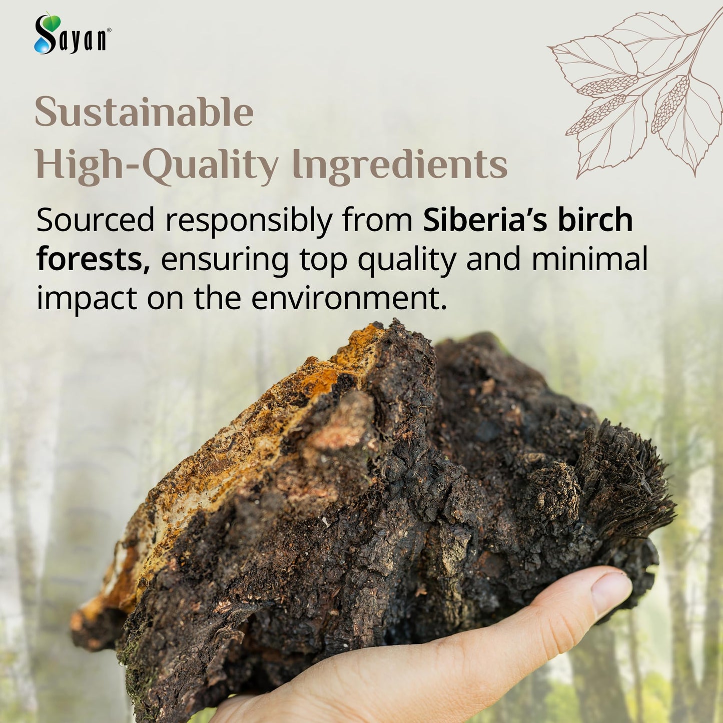 Sayan Siberian Coarse Chaga Powder – 4 oz (113 g) – Wild Harvested, Non-GMO