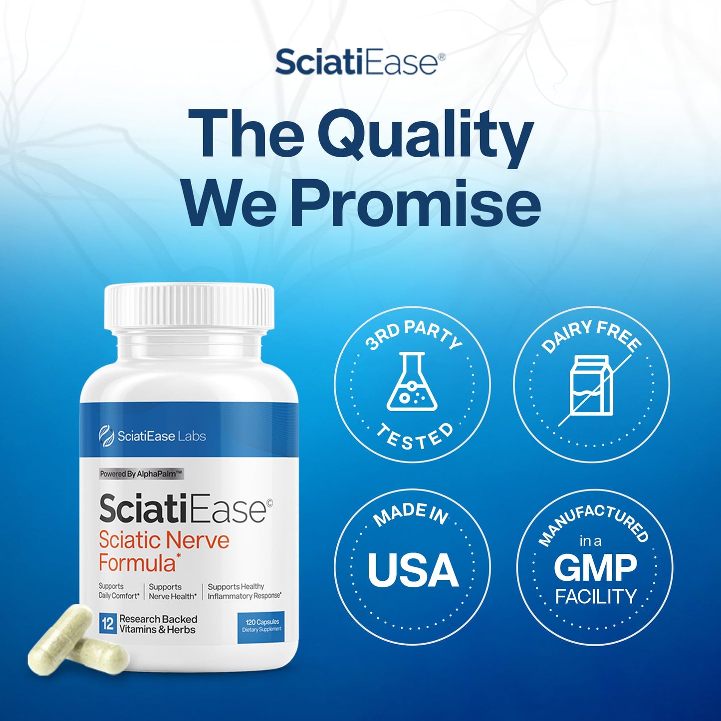 SciatiEase Sciatic Nerve Health Support Supplement - 3 Bottles | PEA, Alpha-Lipoic Acid 300mg, B Complex