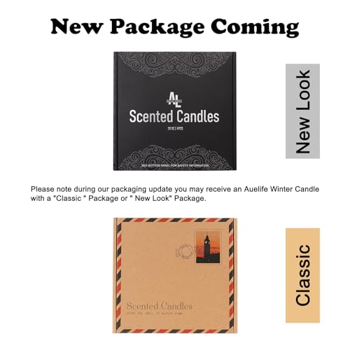 4 Pack Scented Candles Set for Men | Leather, Oak, Smoke & Vanilla