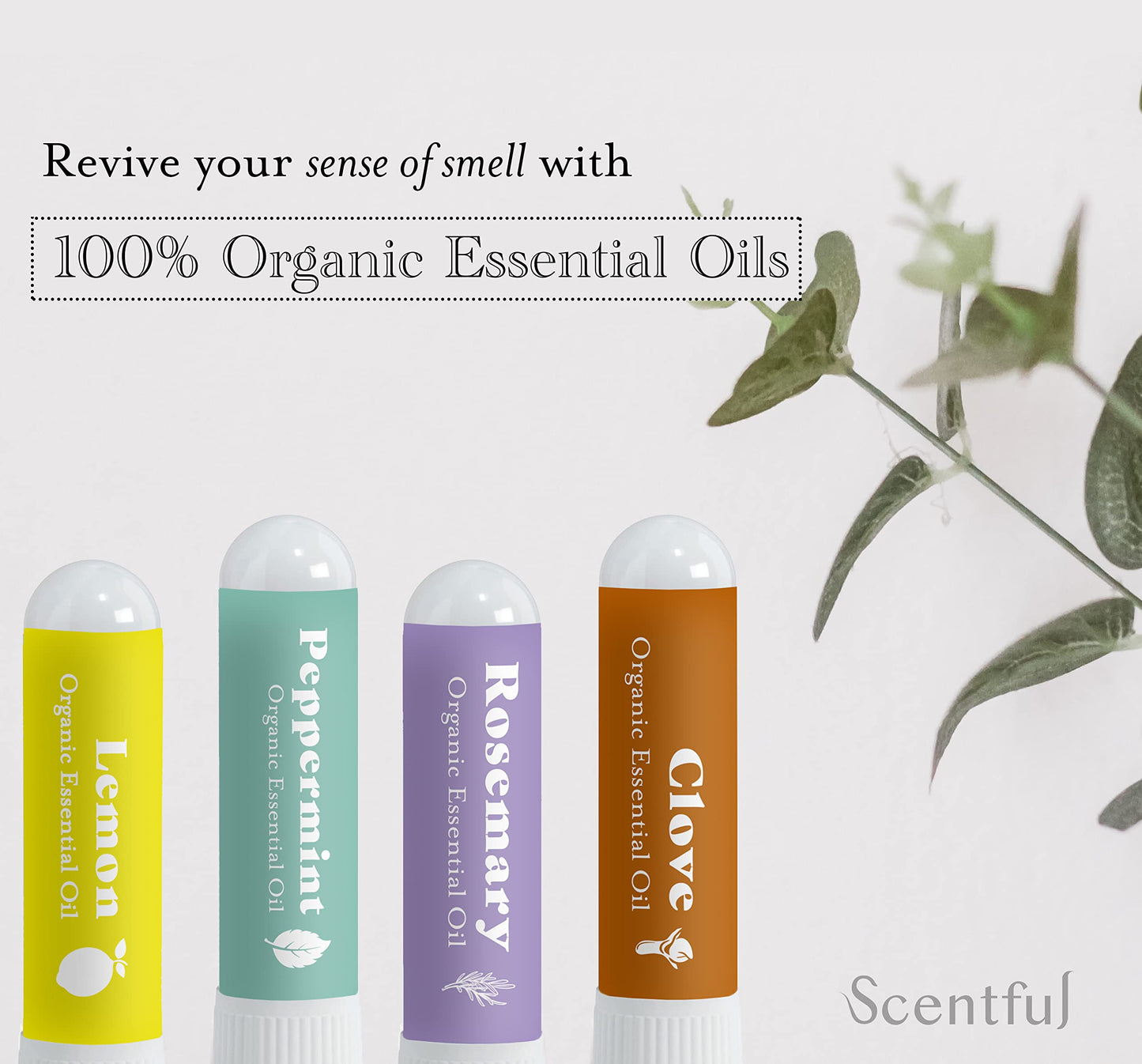 Scentful Smell Training Kit – Smell Retraining Therapy | Restore Sense of Smell and Taste | Made in USA with 4 Organic Essential Oils