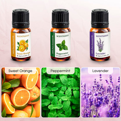 SCENTNARIO Essential Oils Set — 6 x 10ml Pure & Natural Gift Set