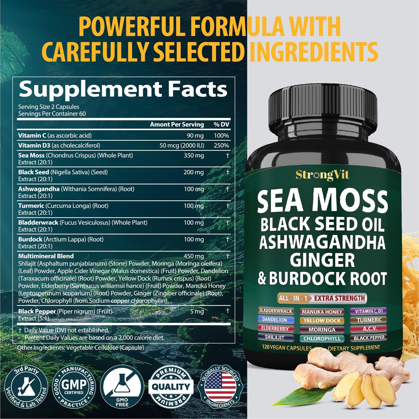 Sea Moss + Black Seed Oil Capsules with Ashwagandha & Ginger – Organic Multimineral Sea Moss (120 Capsules) USA