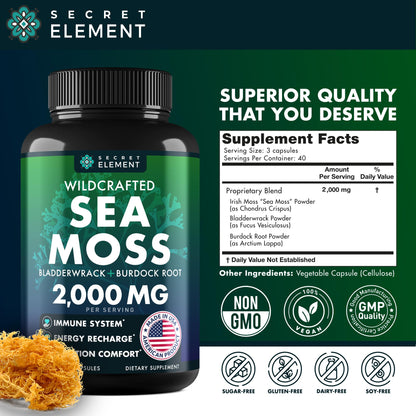 Sea Moss Capsules – Irish Sea Moss with Burdock Root, Bladderwrack & Muira Puama