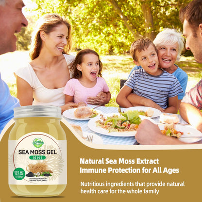 Sea Moss Gel 18.5 oz – 16-in-1 Wildcrafted Irish Seamoss with Black Seed Oil & Ashwagandha