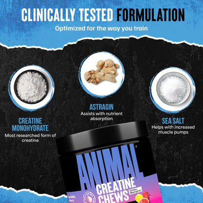 Animal Creatine Chews – 5g Creatine Monohydrate, AstraGin, Fruit Punch