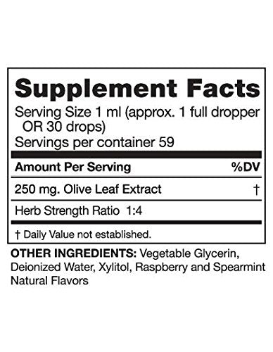Seagate Olive Leaf Extract Liquid - 250 mg/ml, No Alcohol, Raspberry-Spearmint Flavor