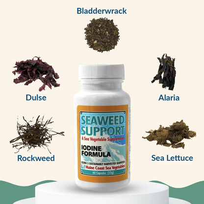 Maine Coast Sea Vegetables Seaweed Support Iodine Formula | Source of Iodine from Seaweed | Daily Use Iodine Supplement | Organic Alaria, Rockweed, Sea Lettuce, Dulse & Bladderwrack blend | 60 Capsule