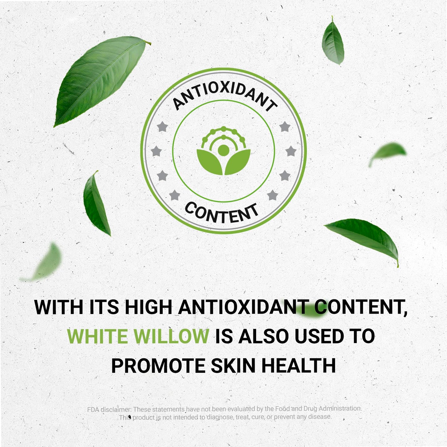 Secrets of the Tribe White Willow Alcohol-Free Extract – Salix Alba Bark Tincture 2 fl oz