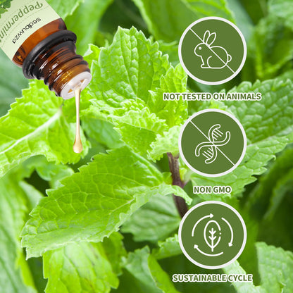 Sedbuwza Lavender & Peppermint Essential Oil Set – 2 x 10ml for Diffuser, Aromatherapy