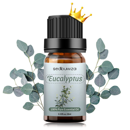 Sedbuwza Eucalyptus Essential Oil – Pure Organic Fragrance for Diffuser & Soap