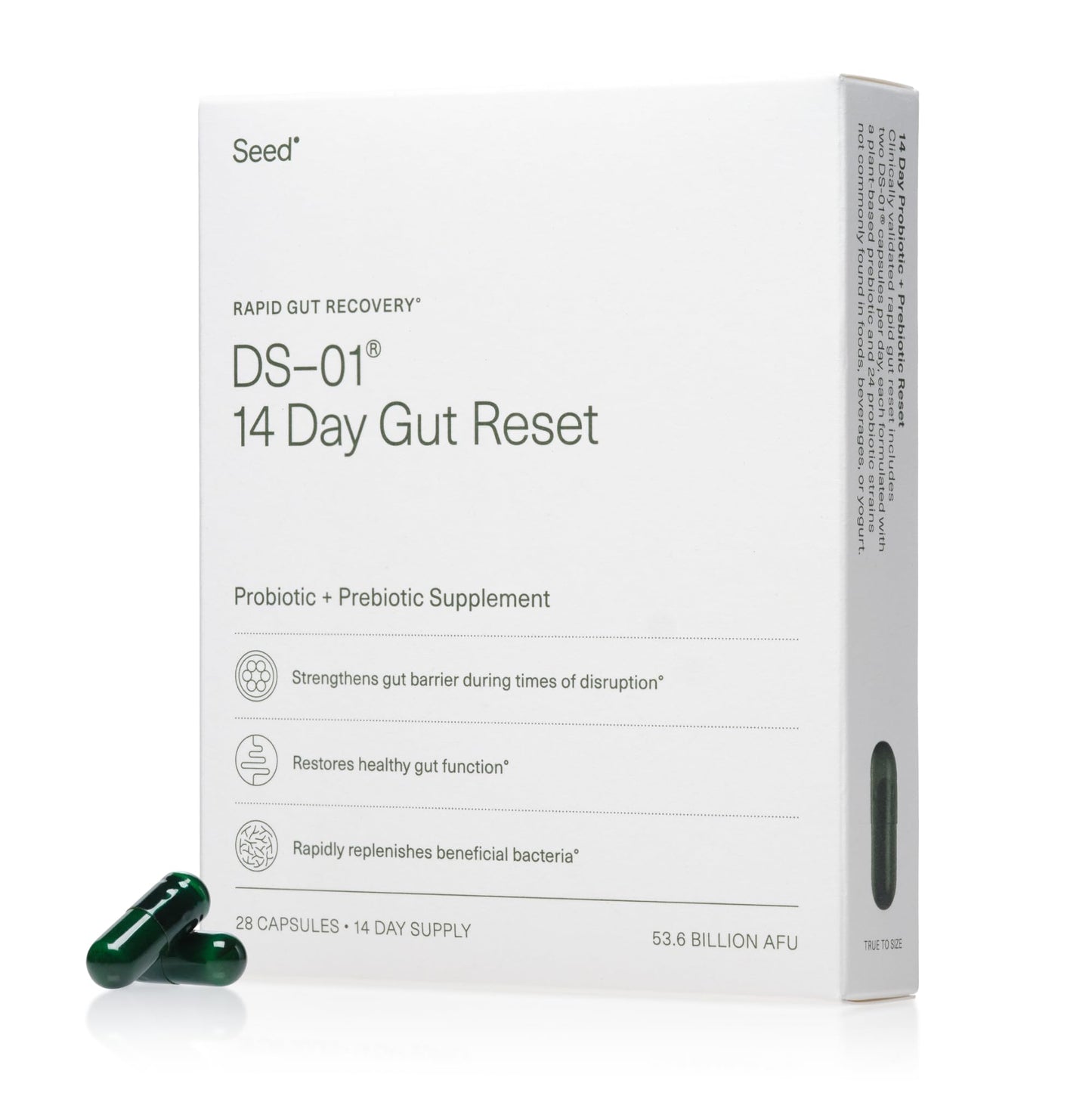 Seed 14 Day Gut Reset | Probiotic & Prebiotic for Digestive Health
