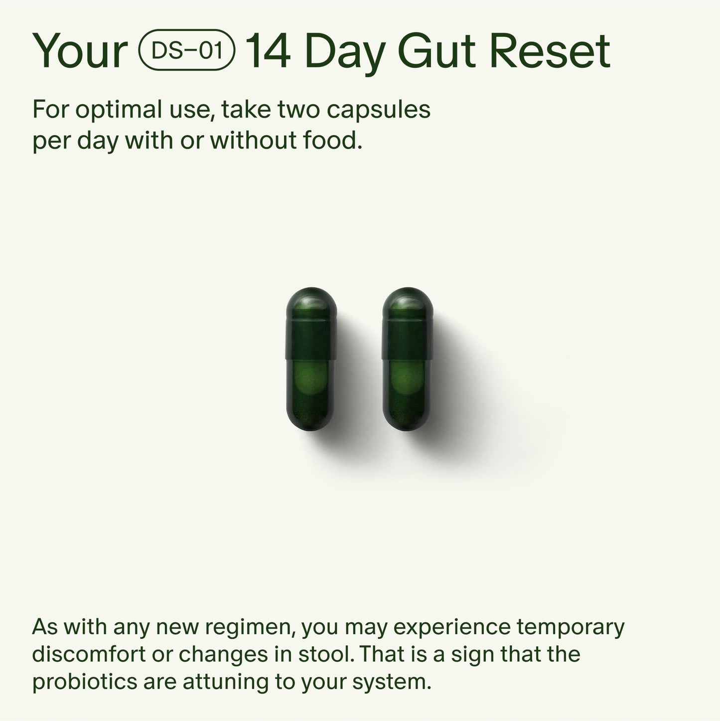 Seed 14 Day Gut Reset | Probiotic & Prebiotic for Digestive Health