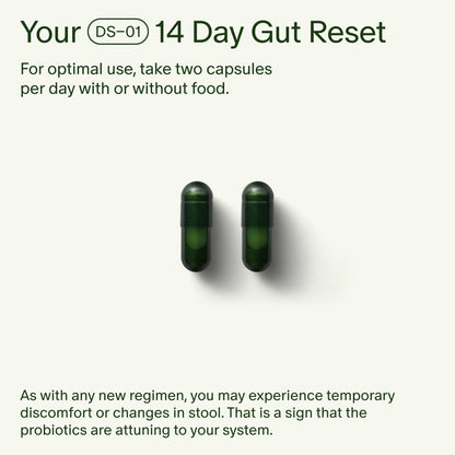 Seed 14 Day Gut Reset | Probiotic & Prebiotic for Digestive Health