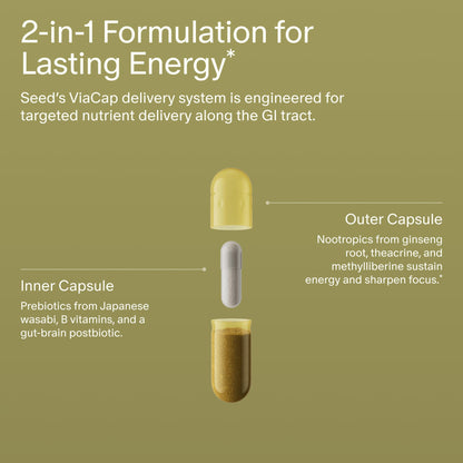 Seed AM-02 Energy + Focus: Daily Nootropic (Caffeine-Free, 30 Capsules)