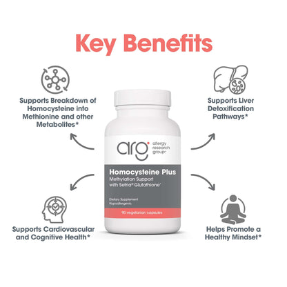 Allergy Research Group Homocysteine Plus Supplement | Setria Glutathione, B Complex, TMG | 90 Count