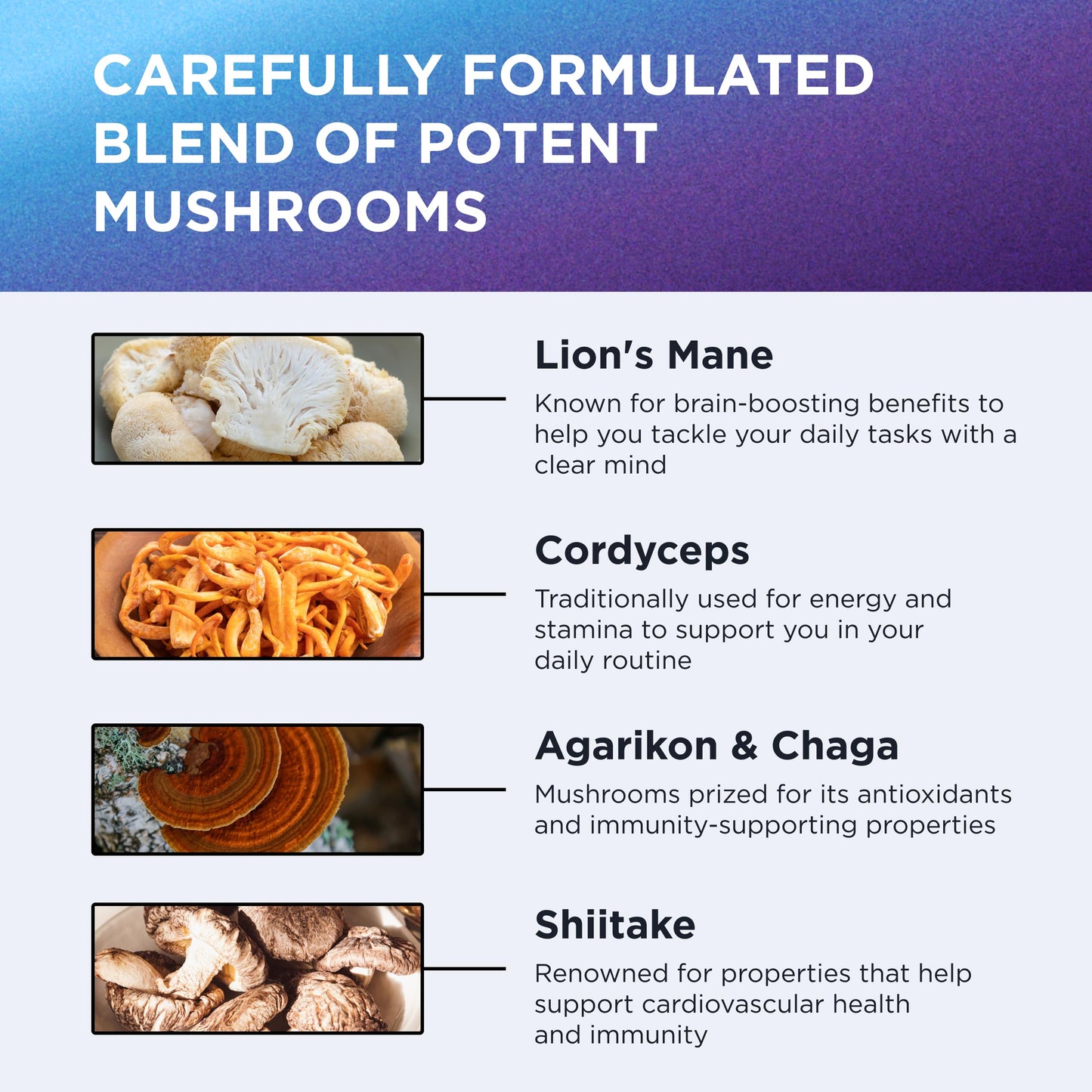 Dr. Emil Nutrition 10 Mushroom Nootropic Supplement – Clarity & Immune Support