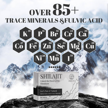 30,000 MG Shilajit Tablets – Pure Himalayan Shilajit, 85+ Minerals, Immune & Energy Support, 120 Count