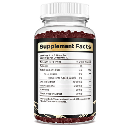 2 Pack Shilajit Gummies 1000mg – 85+ Minerals, Sugar Free Raspberry