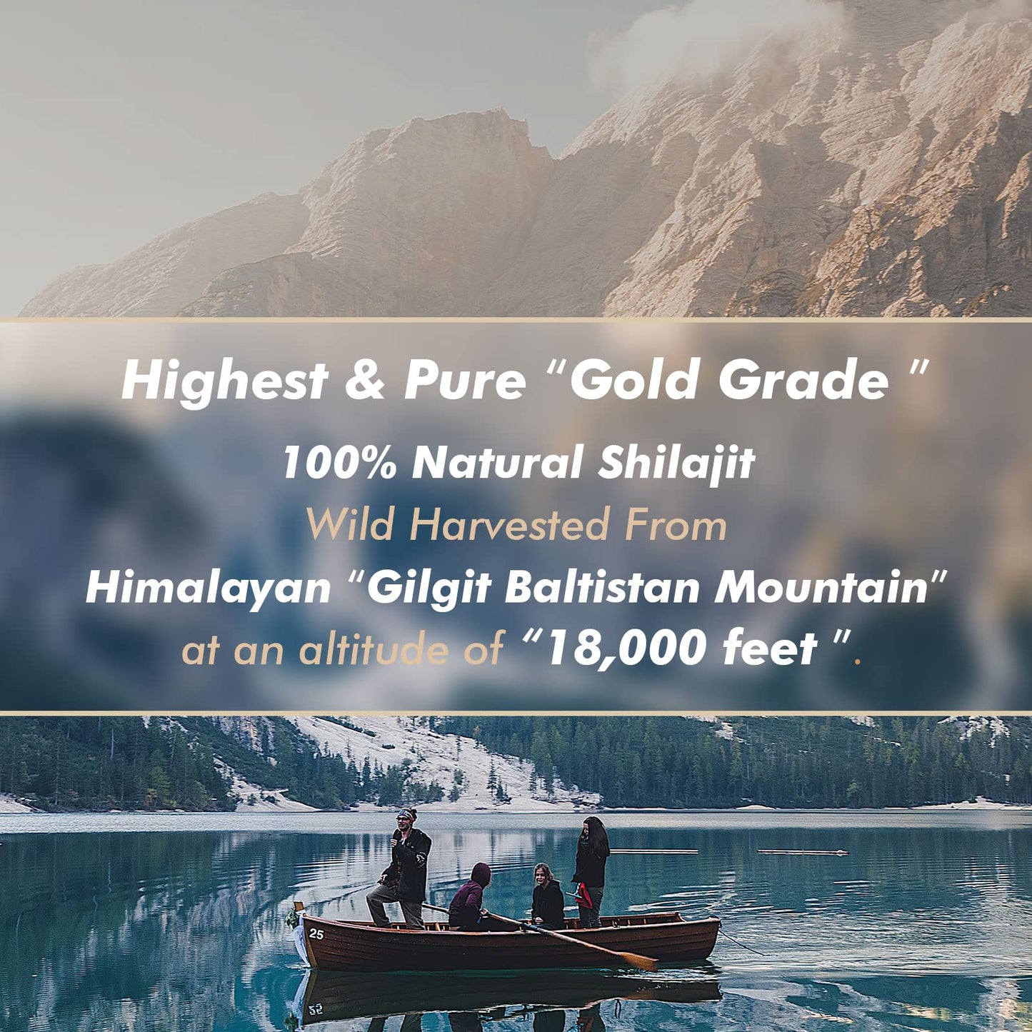 Shilajit Pure Himalayan Organic Shilajit Resin - Gold Grade 100% Purity | Fulvic Acid & 85+ Minerals | Energy & Immune Support | Pack of 2 (4 Months)