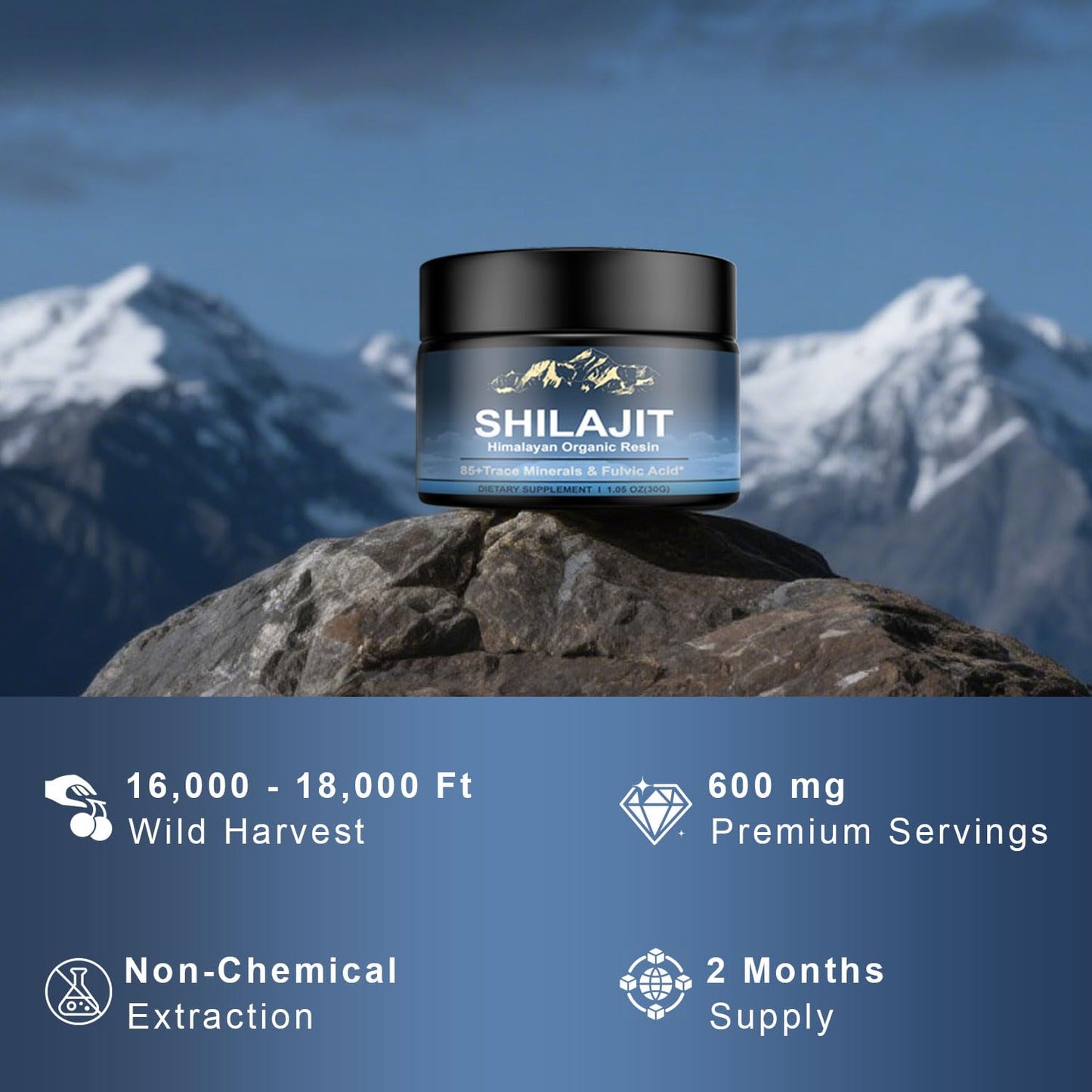 Himalayan Shilajit Resin 600mg – 85+ Minerals, Fulvic Acid | Energy & Immunity