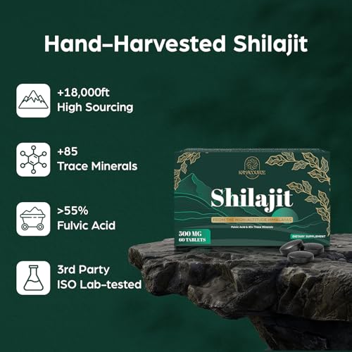30,000 MG Shilajit Tablets – Himalayan Organic, 60 Count | Fulvic Acid & 85+ Minerals | Lab Tested