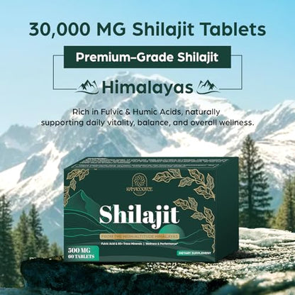 30,000 MG Shilajit Tablets – Himalayan Organic, 60 Count | Fulvic Acid & 85+ Minerals | Lab Tested