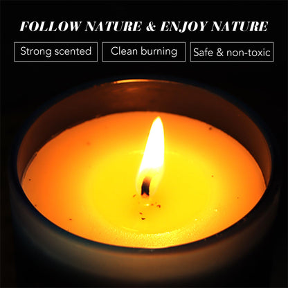 Shining Buddy Sage & Lemongrass Scented Soy Candles – 6oz Home Spa & Relaxation