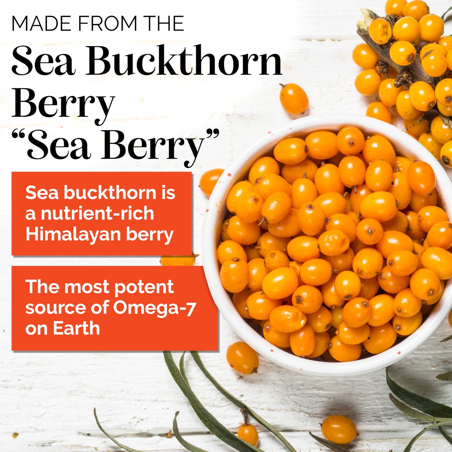 Sibu Sea Buckthorn Omega-7 Softgels – 30-Day Refill Sachet | Healthy Skin, Hair & Nails