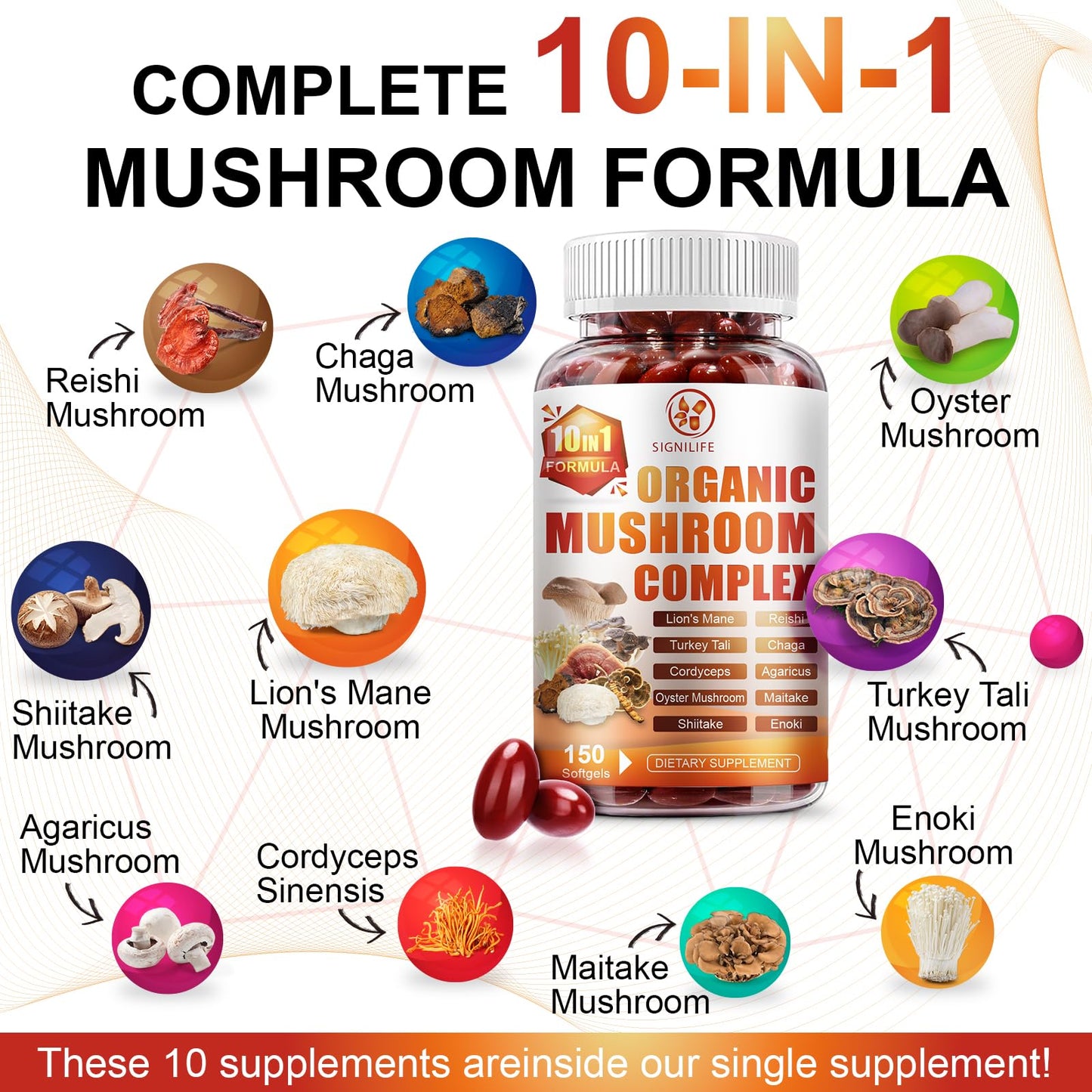 SIGNILIFE 10 in 1 Lion's Mane Mushroom Supplement – Memory & Focus – 150 Softgels