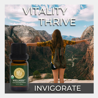 Silk Road Vitality Blend Essential Oil – 100% Pure USDA Organic (10 ml) – Frankincense, Cypress, Cedarwood, Clary Sage, Orange