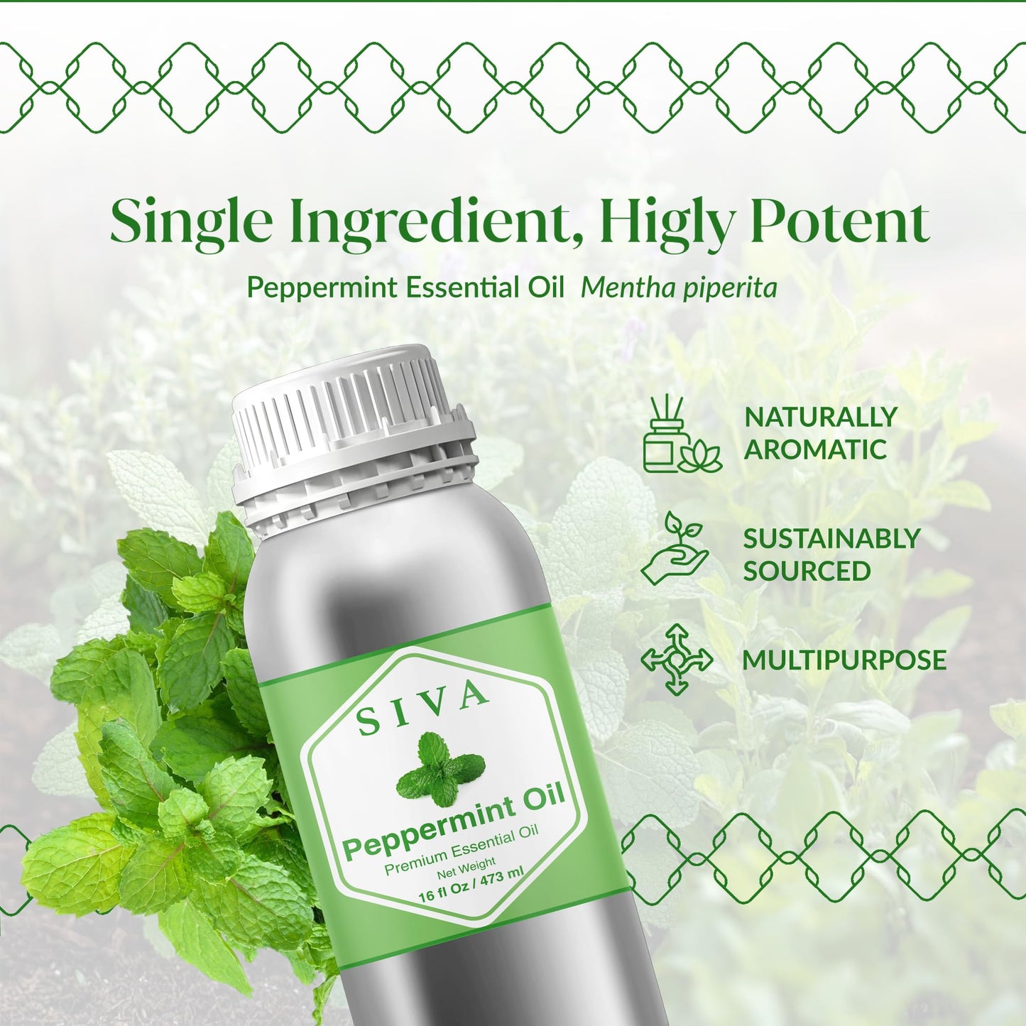 Siva Peppermint Essential Oil 16 oz - 100% Natural Peppermint Oil for Diffuser, Skin & Hair Care