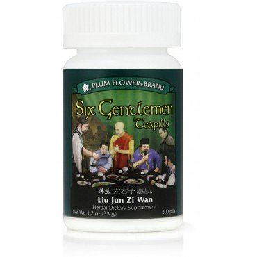 Six Gentlemen Teapills (Liu Jun Zi Wan) – Classic Chinese Herbal Formula for Digestion