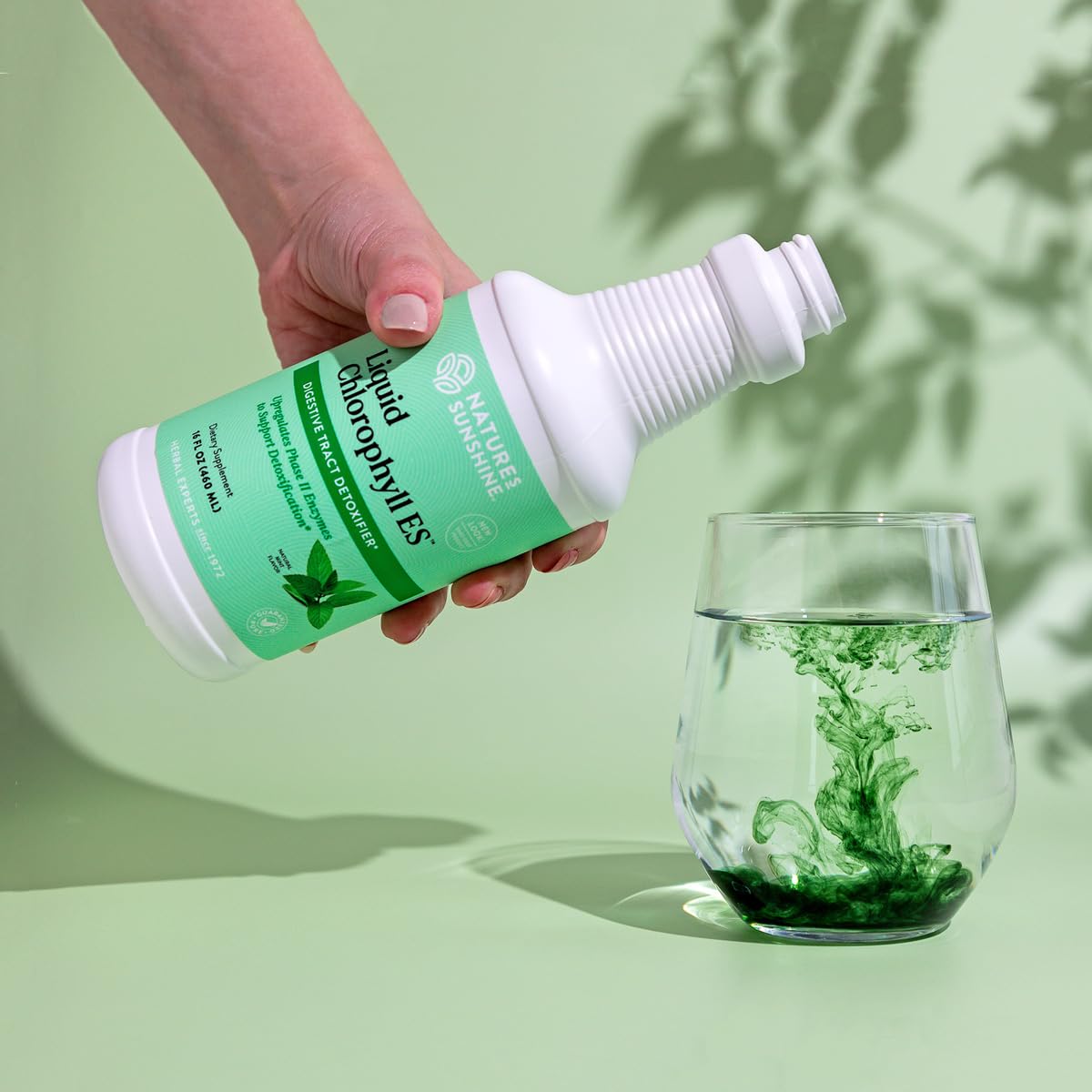 Nature's Sunshine Liquid Chlorophyll Extra Strength – Immunity & Detox (16 oz)