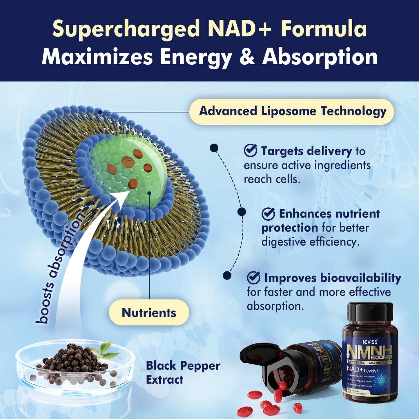NMNH Liposomal 500mg NAD+ – Next-Gen NMN/NAD+ Supplement for Cellular Energy & Healthy Aging