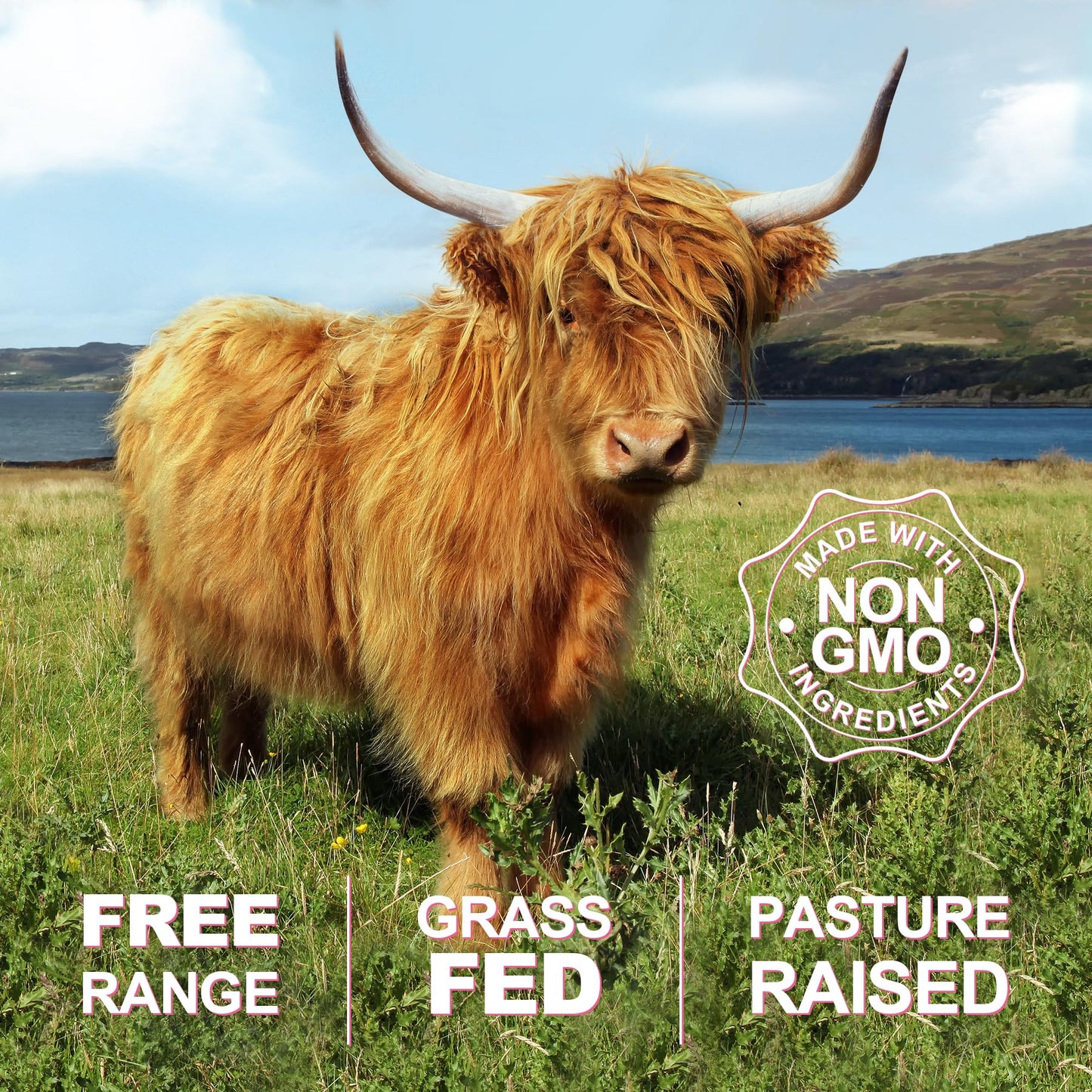 SKLIA Beef Organ Supplement for Women – Grass-Fed NZ (120ct) | Energy & Wellness