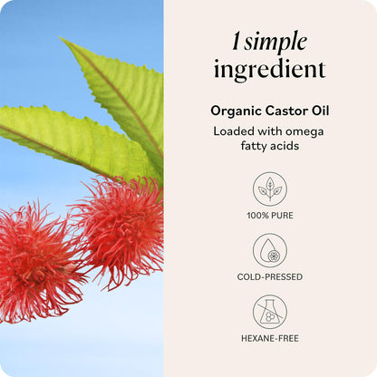 Sky Organics Castor Oil - USDA Organic Hair Growth Oil, Skin & Lashes - Cold-Pressed 16oz