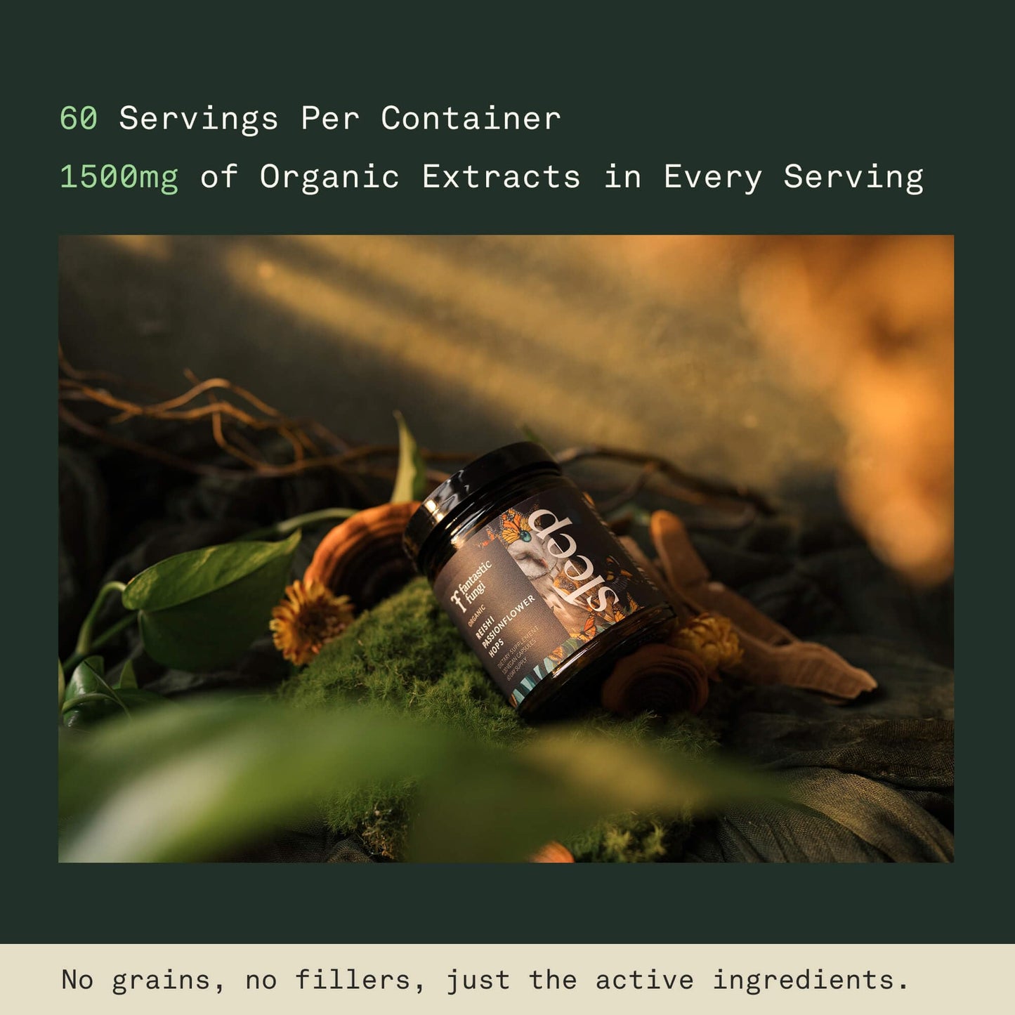 Mushroom Sleep Supplement — Reishi, Passionflower & Hops | 100% USDA Organic, Vegan, 120 Caps