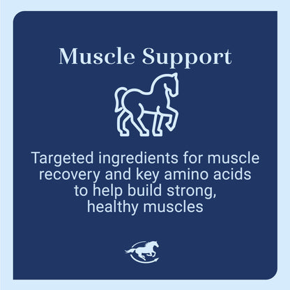 SmartEquine Acetyl L-Carnitine HCL Powder – Horse Energy & Muscle