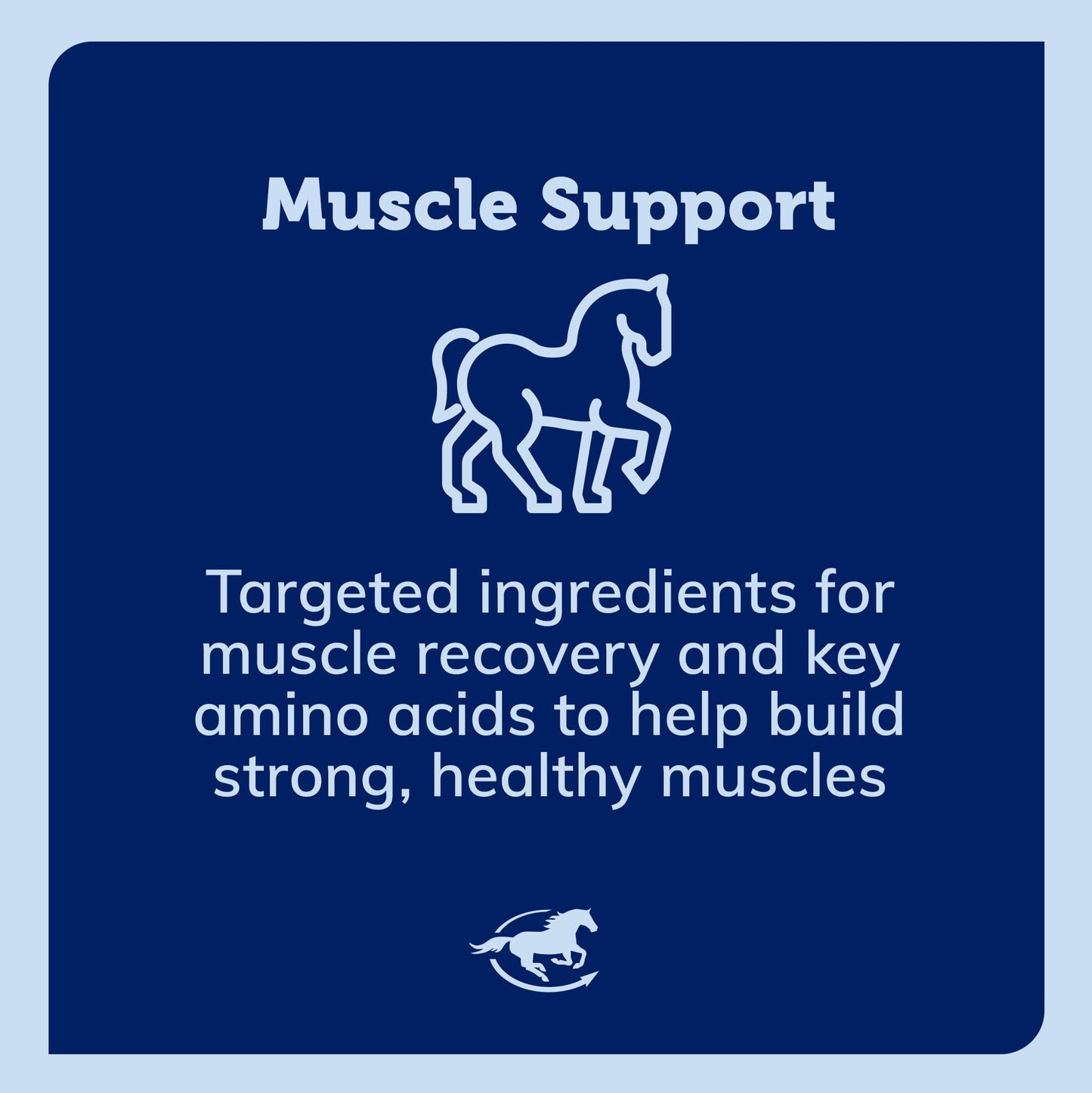 SmartEquine Acetyl L-Carnitine HCL Powder – Horse Energy & Muscle