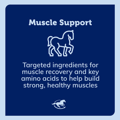SmartEquine Acetyl L-Carnitine HCL Powder – Horse Energy & Muscle
