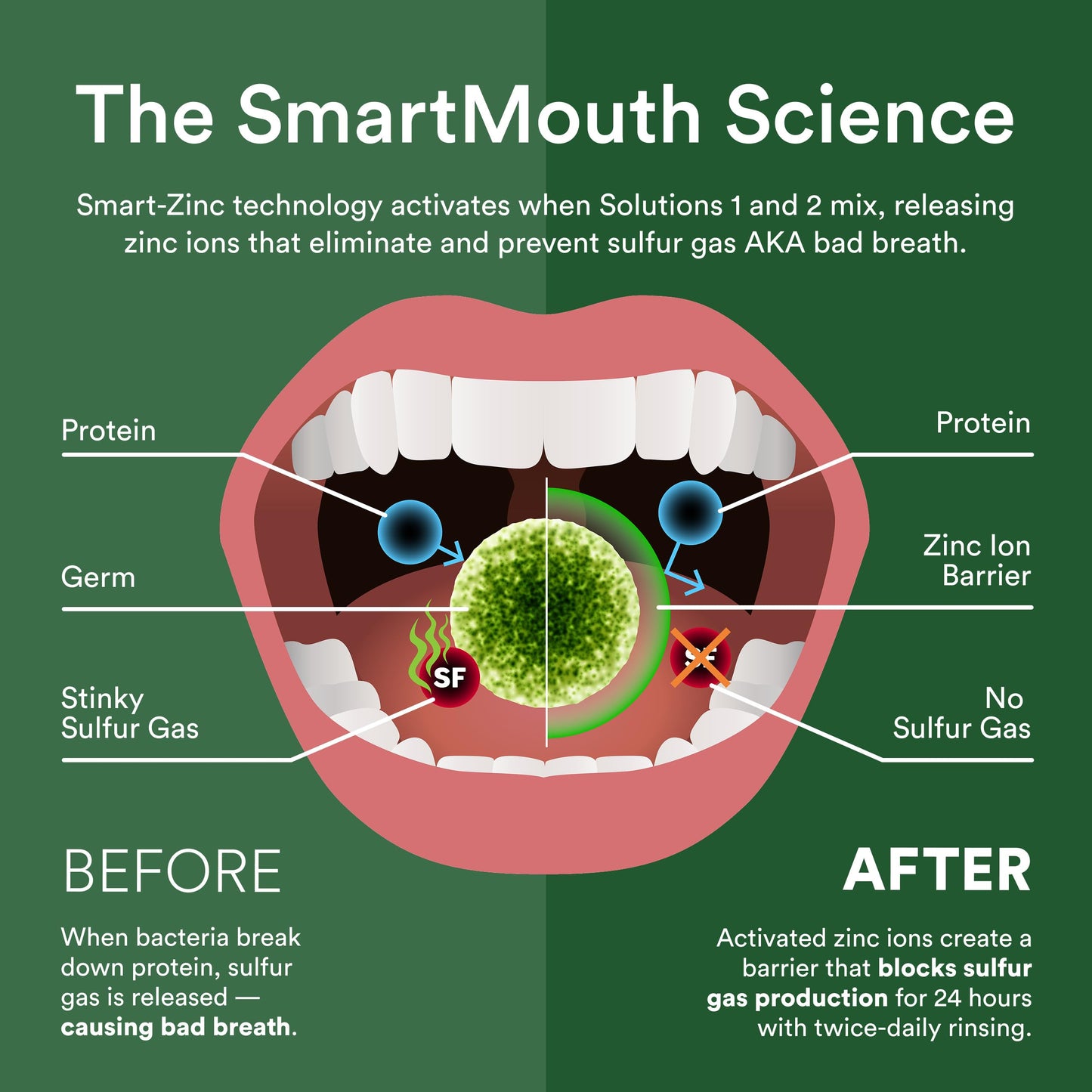 SmartMouth Original Activated Mouthwash – 24-Hour Fresh Breath, Mint, 2-Pack (16 oz)