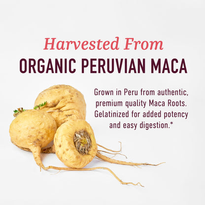 SMNutrition Organic Maca Root Capsules for Women | 2250MG Extra Strength Peruvian Maca + Black Pepper | 120 Ct