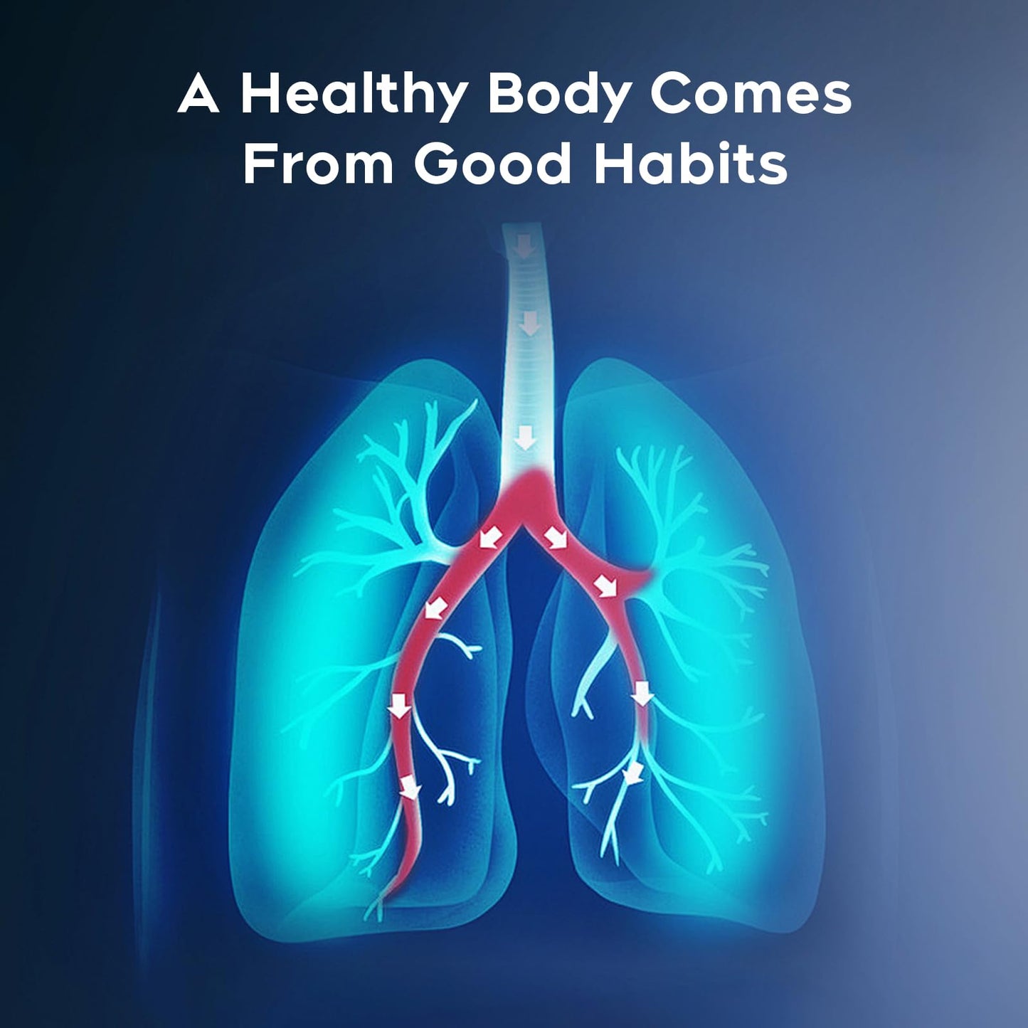 Smokeless Inhalers – Flavored Air Device to Quit Smoking | Natural Plant Extracts, Woody Scent