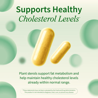 Snap Supplements Cholesterol Health - Natural Support for Heart, Liver, Digestive and Metabolic Health, 60 Vegetarian Capsules (30 Servings, 1 Month Supply)
