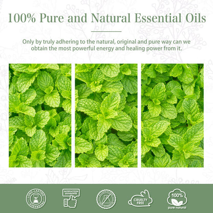 Peppermint Essential Oil 30ml | PHATOIL Pure Essential Oil Singles for Aromatherapy & DIY Crafts