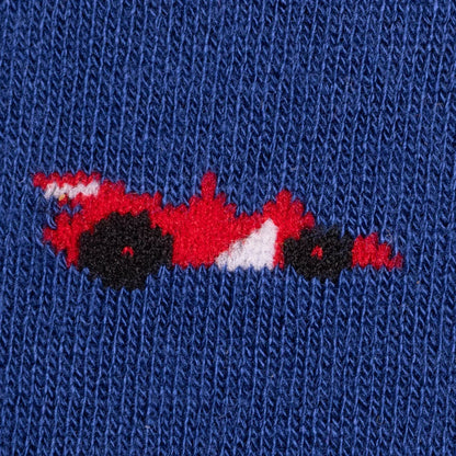 Racing Cars Matching Bamboo Socks (Adult & Child)