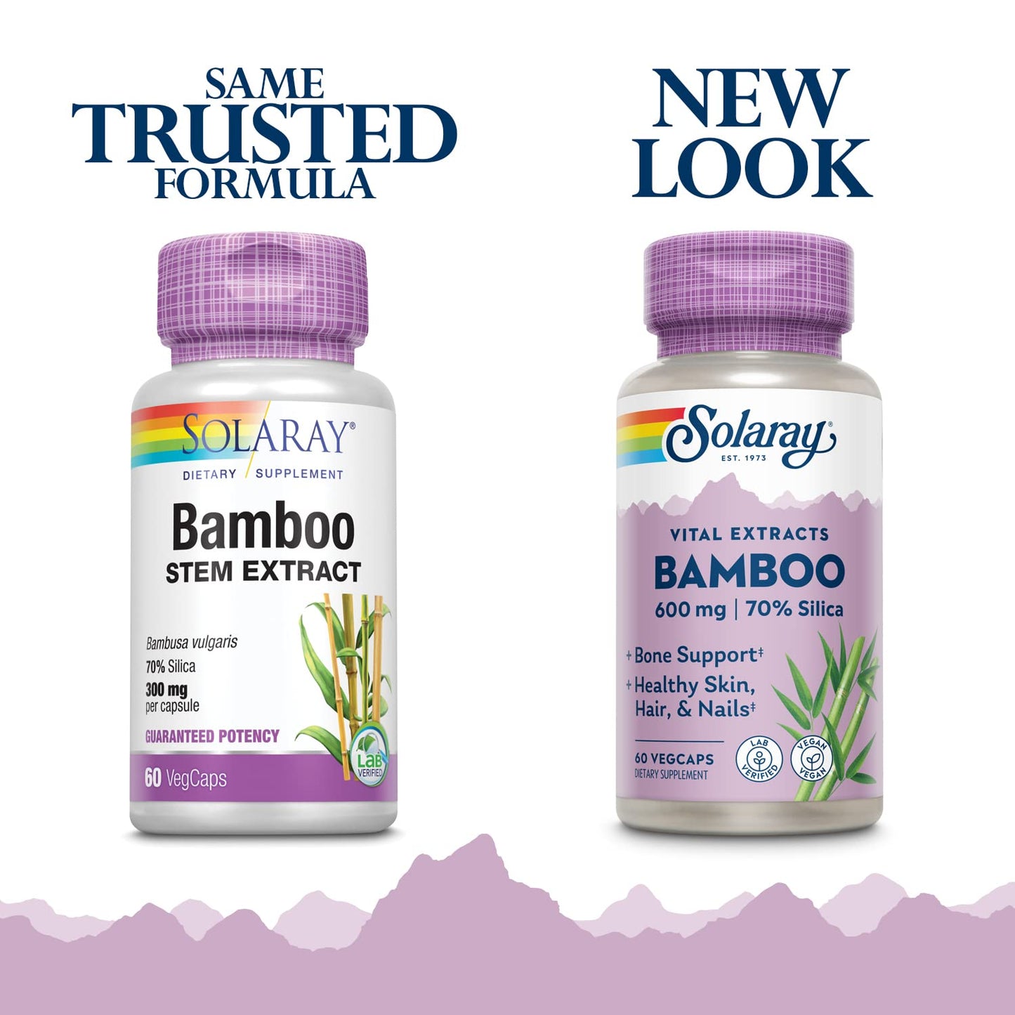 SOLARAY Bamboo Stem Extract 600mg | Hair, Skin, Nails, Bones & Connective Tissue Support | Non-GMO, Vegan & Lab Verified | 60 VegCaps