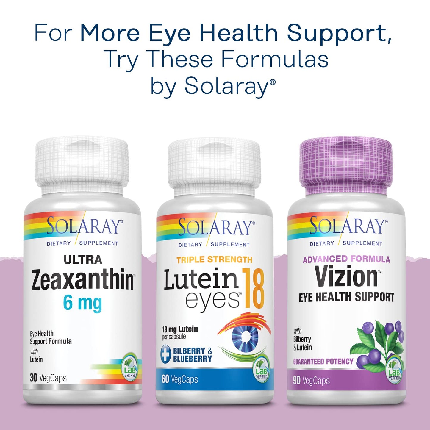 SOLARAY Bilberry Berry Extract 60 mg – Vision Support, Antioxidant & Circulation | 60 VegCaps